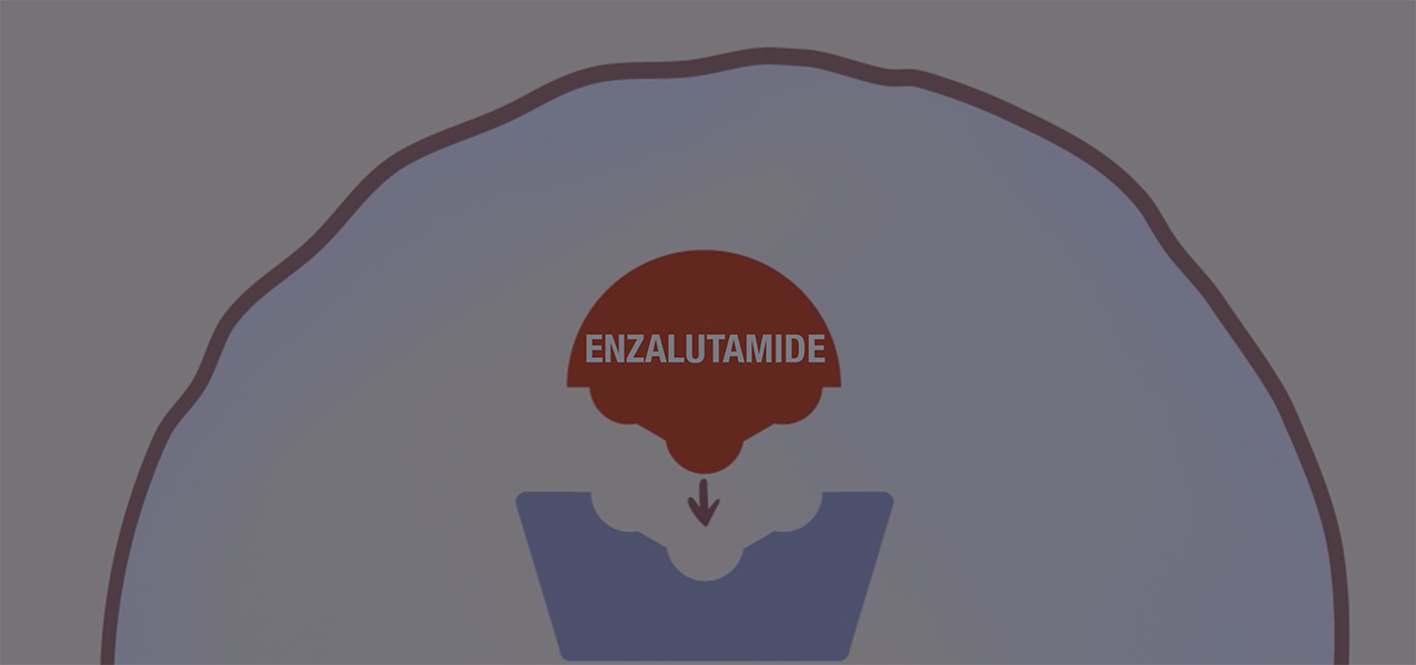 How Enzalutamide works: the mechanism of action