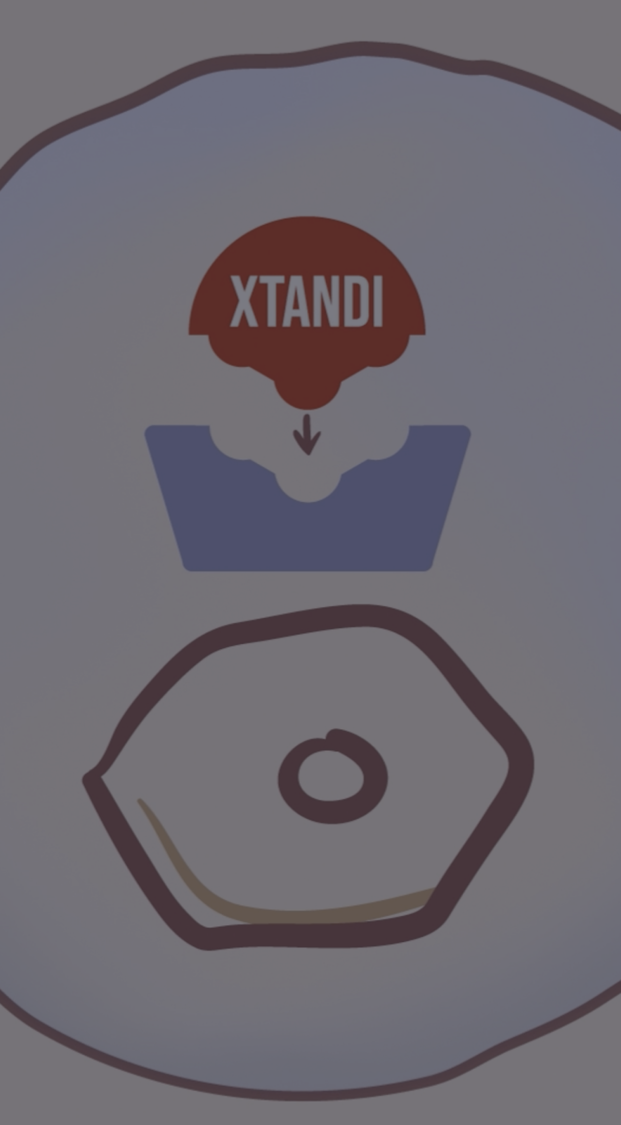 How Enzalutamide works: the mechanism of action