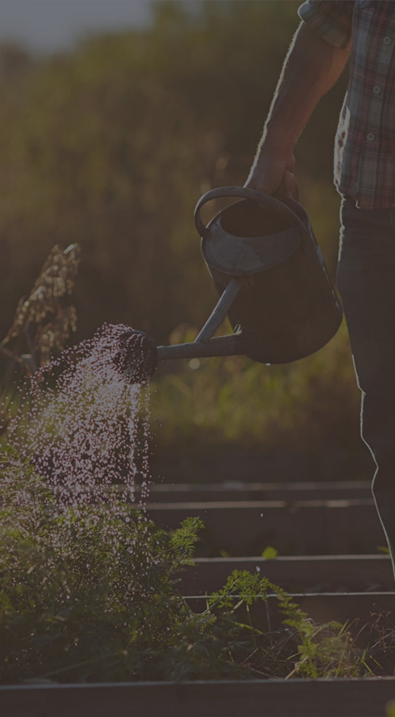 5 steps to exercising more with prostate cancer